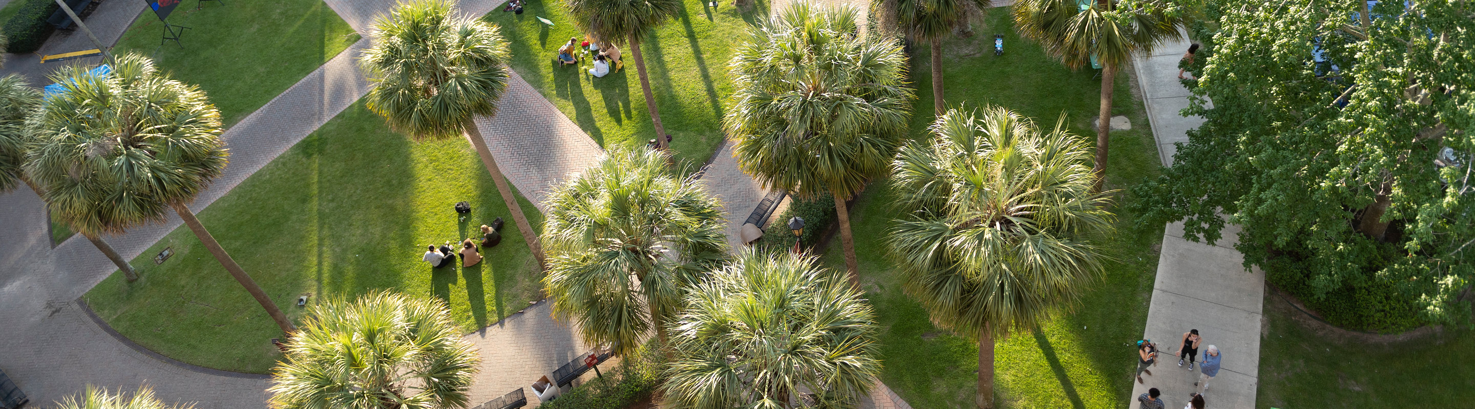 Palm Court from above